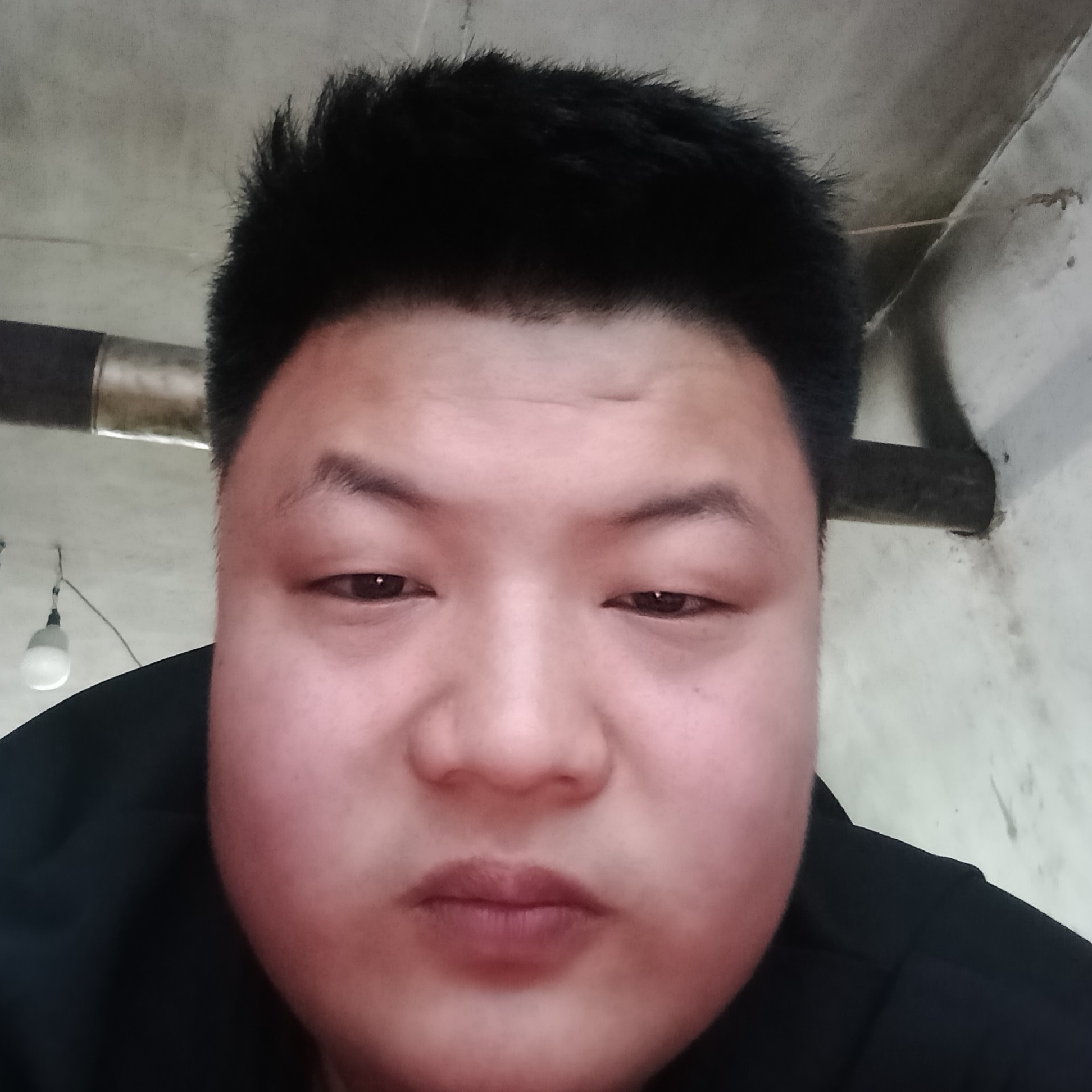 开心果