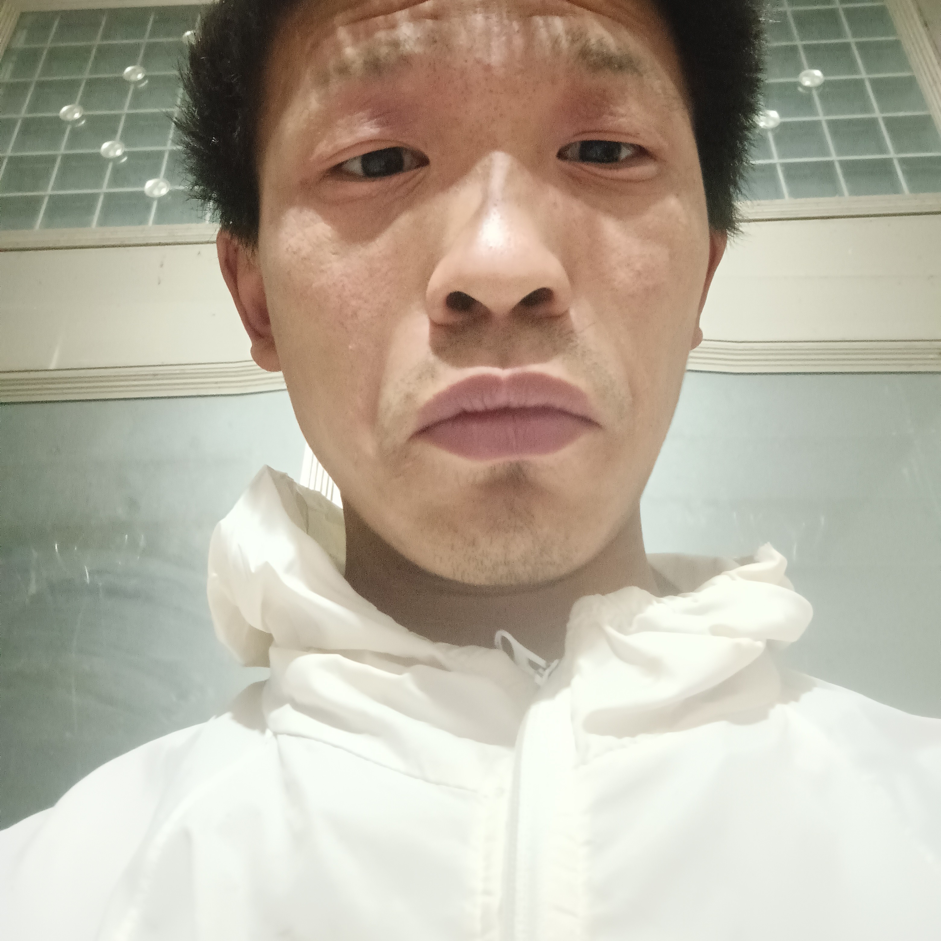 孤独的白鹅