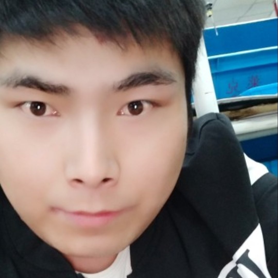 杨小磊