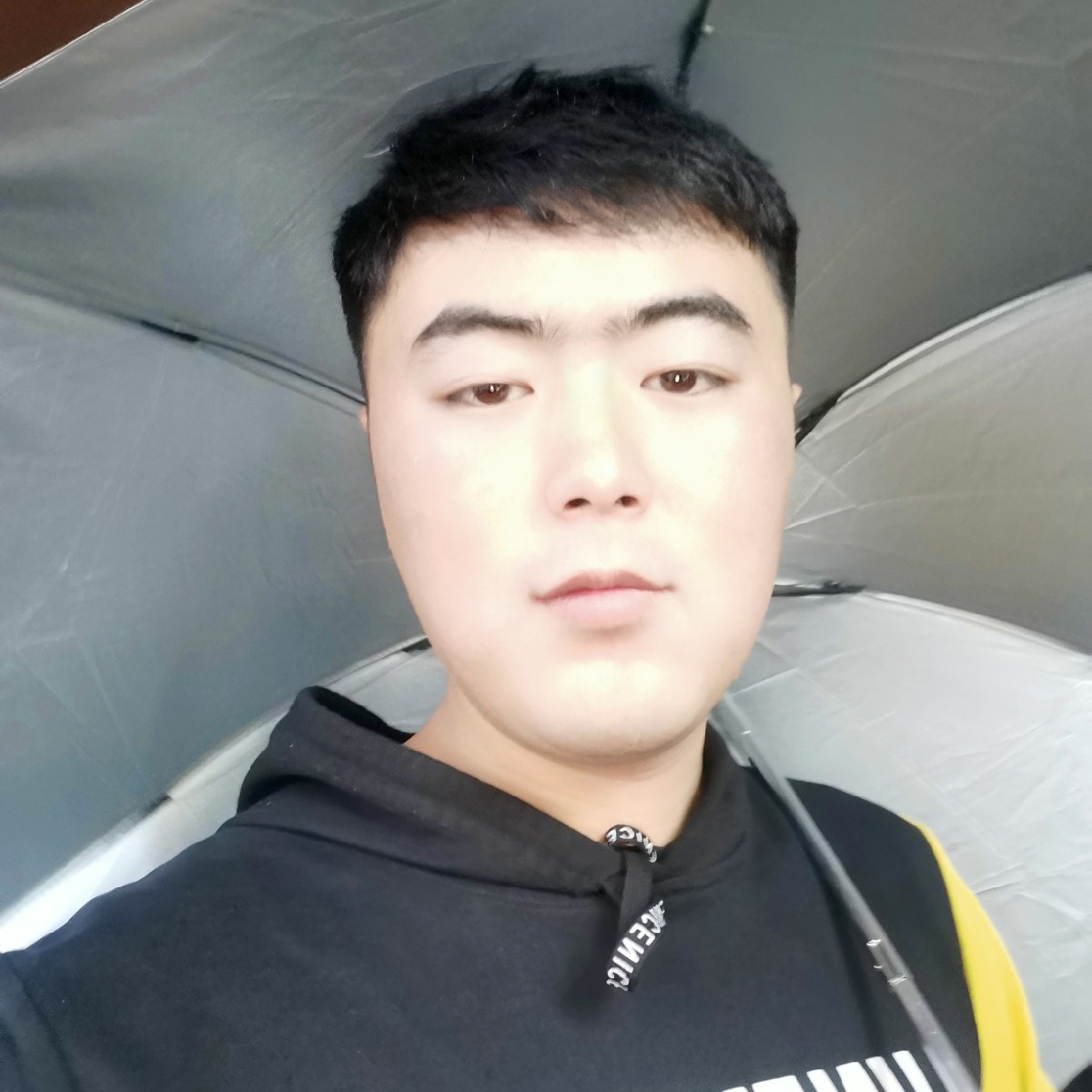 映月布偶