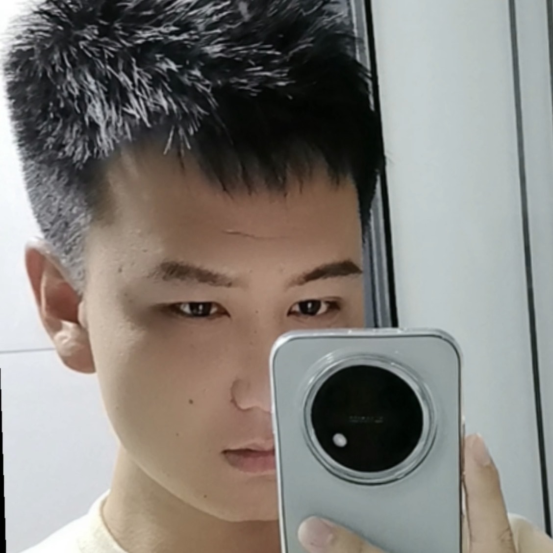 枫叶